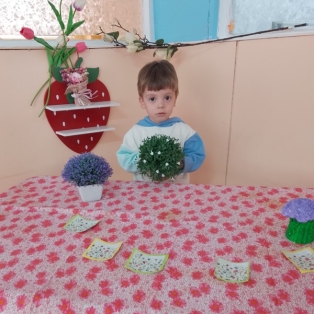cvete-