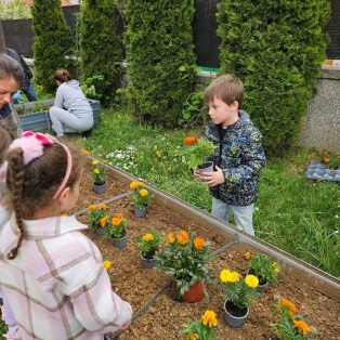 gradinari-