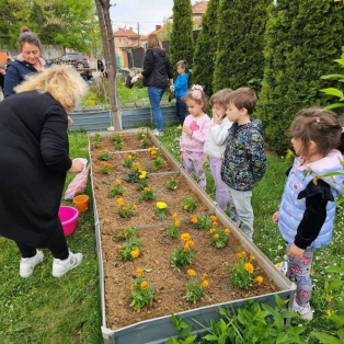 gradinari-