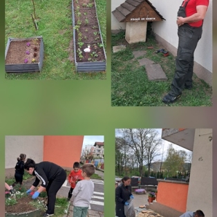 priroda-