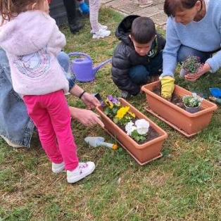 saksia-